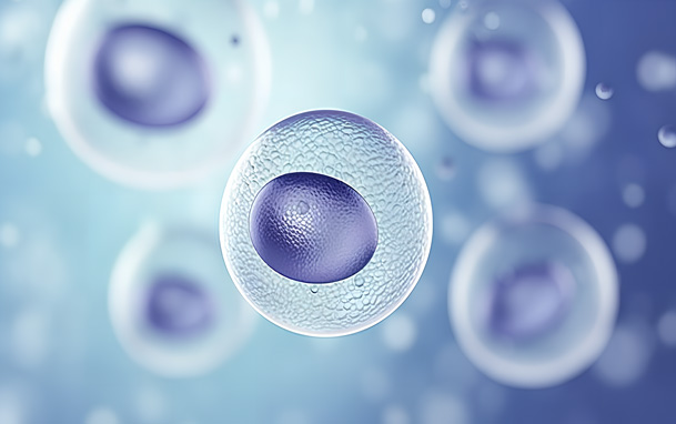 【專業科普】干細胞治療阿爾茨海默癥，讓愛不再被遺忘！