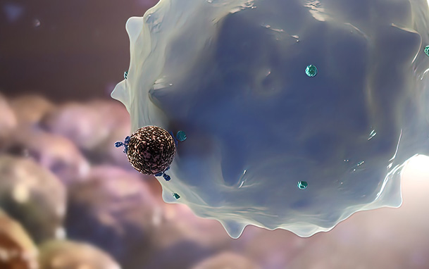 干細(xì)胞與骨關(guān)節(jié)炎