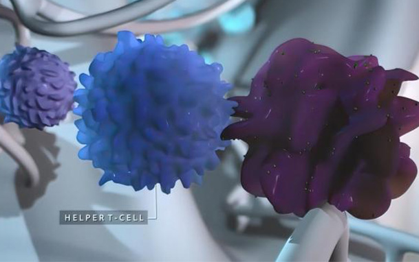 免疫細(xì)胞科普