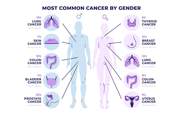 神奇的免疫力，人體防御疾病的衛(wèi)士