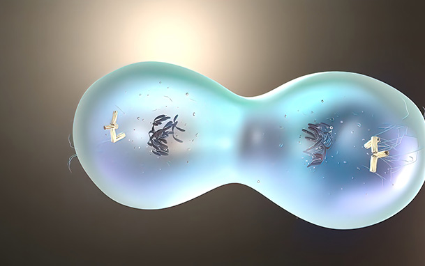 為什么要儲存臍帶血？